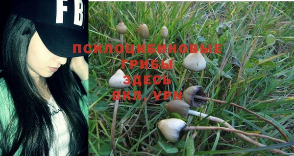 марки nbome Балабаново