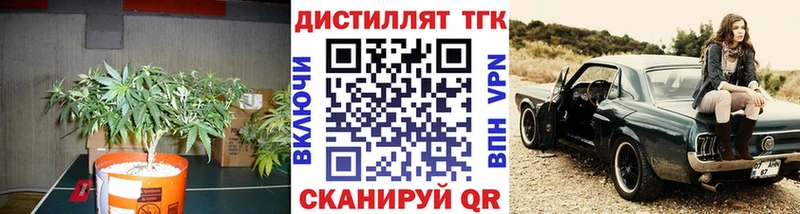 ТГК гашишное масло  Берёзовский 